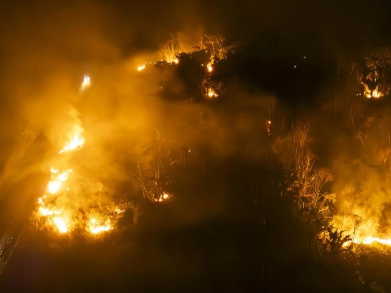 La Amazonía se enfrenta a un enemigo antes desdeñado: el fuego