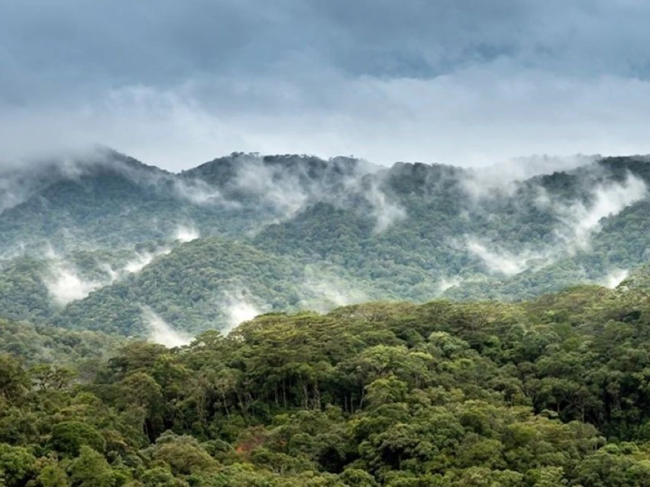 Fenómeno de El Niño podría elevar el riesgo de incendios en la Amazonía peruana