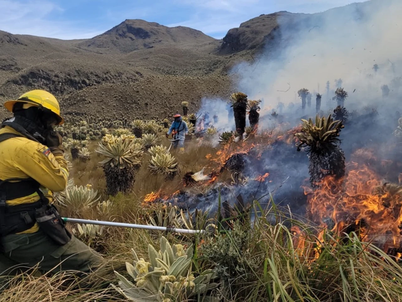 Más de 170 bomberos combaten incendio forestal en El Ángel