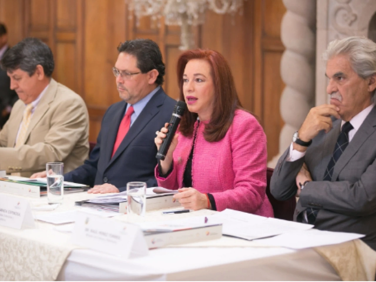 La Canciller miente sobre hijo de Vinicio Alvarado
