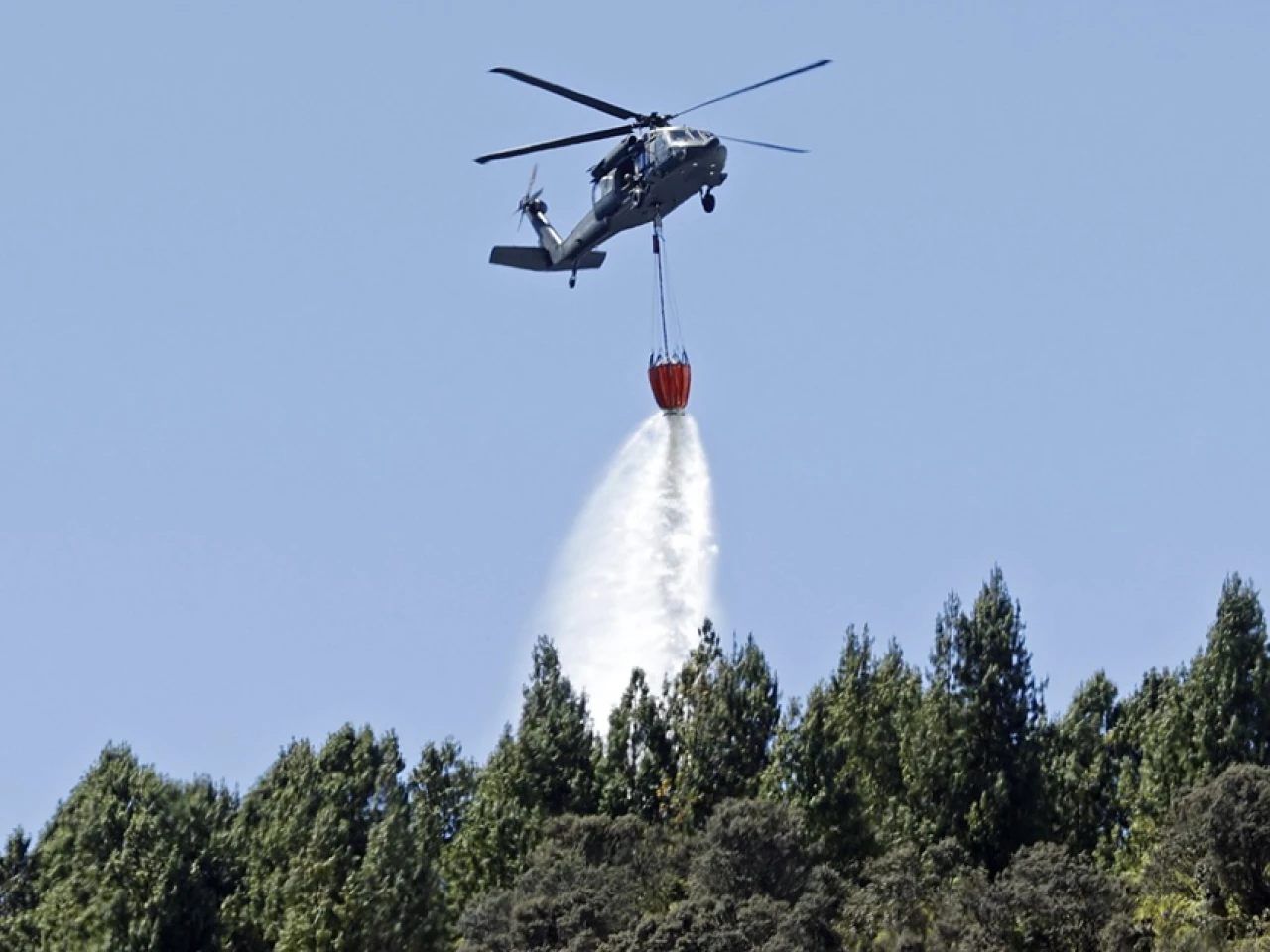 Los incendios forestales han arrasado 7.401 hectáreas en Colombia