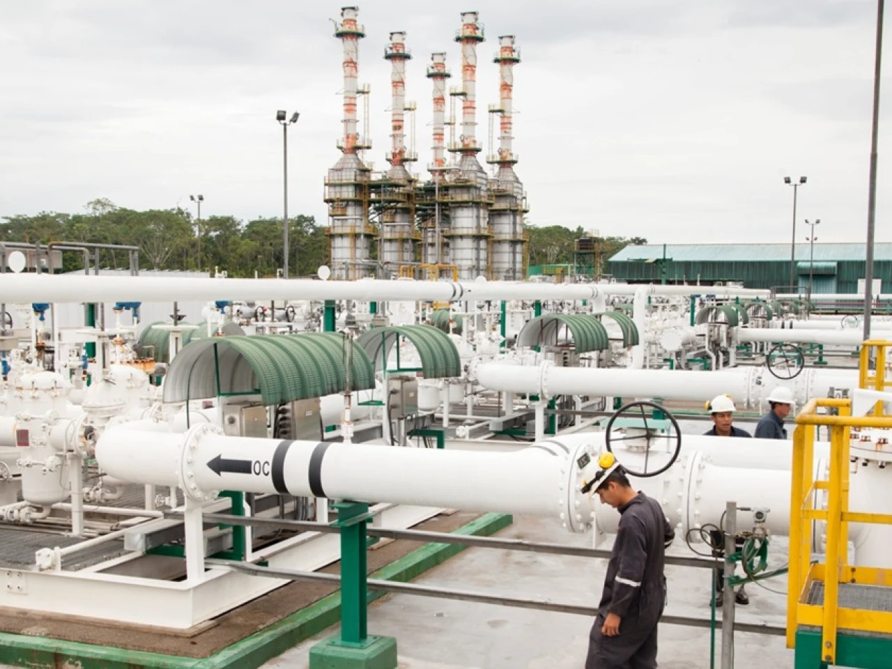 El Estado asumirá el control del OCP en noviembre 