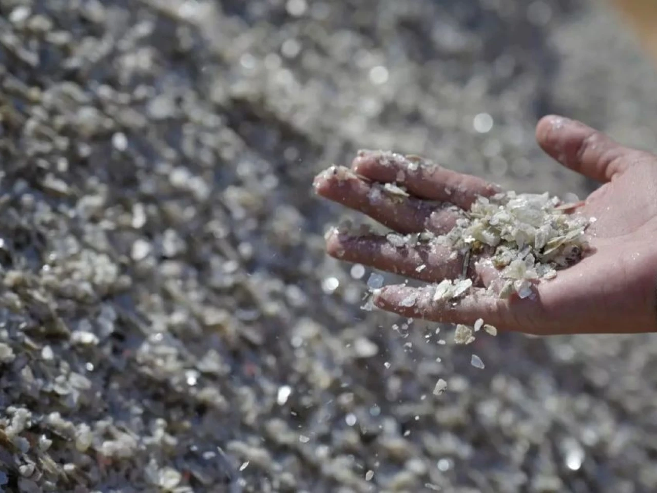 OCDE ve una oportunidad para América Latina en minerales críticos