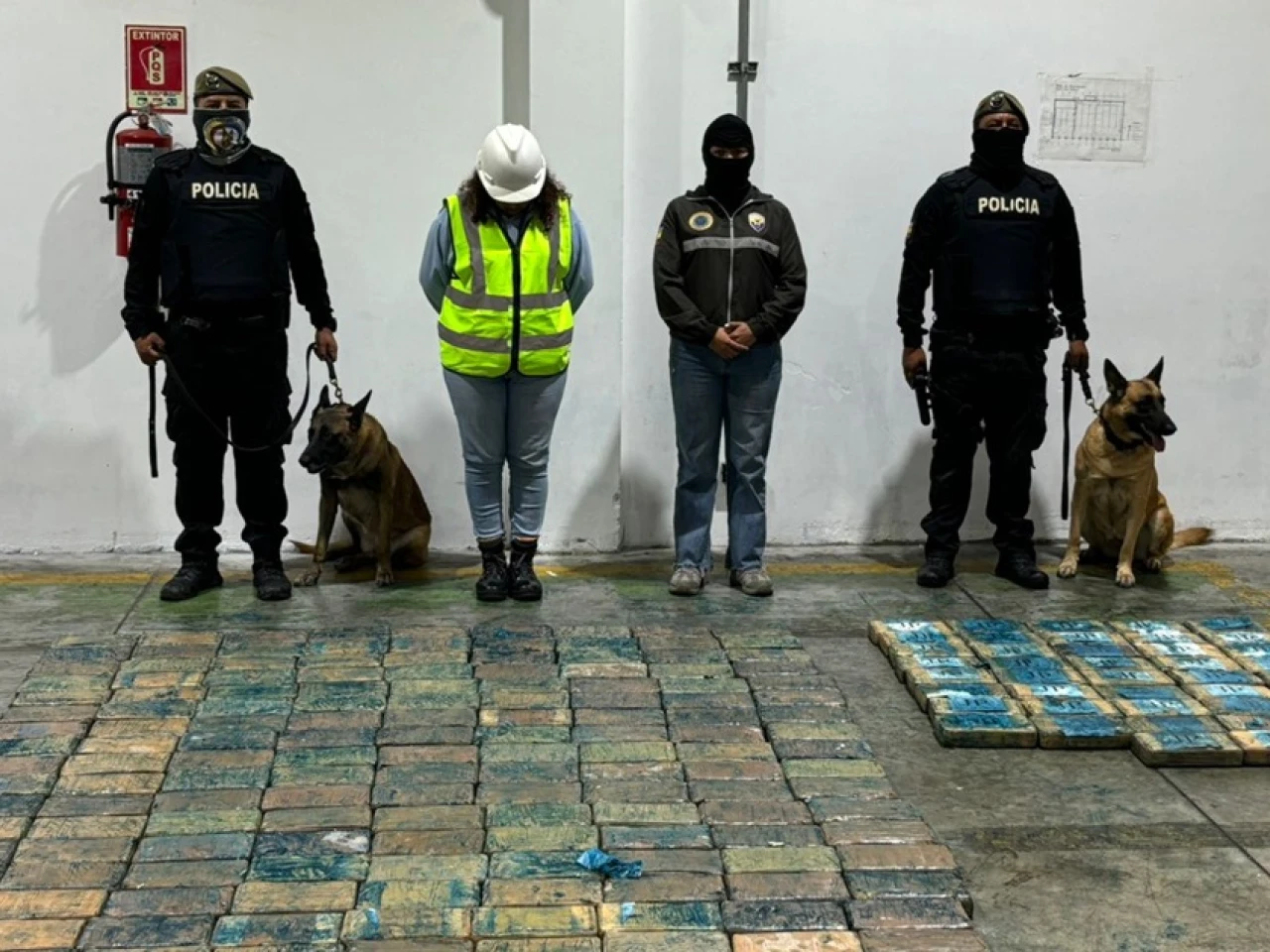 La Policía decomisó 200 bloques de droga en un contenedor que iba a Bélgica