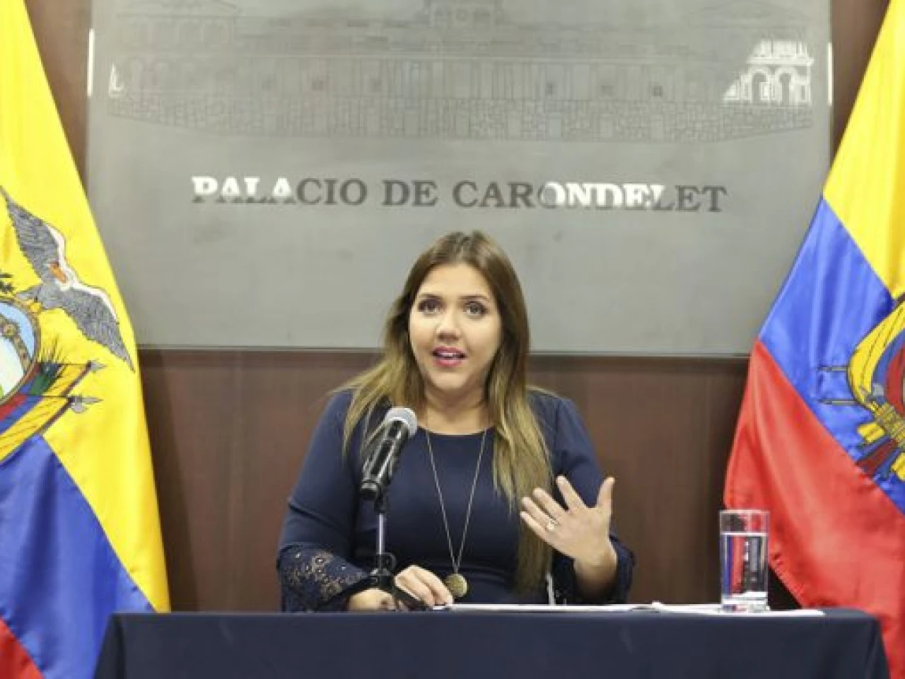 Vicuña será juzgada en septiembre por presunta concusión