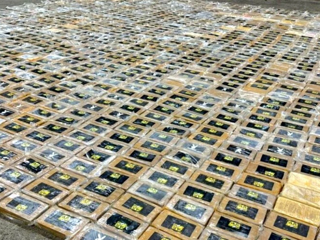 3,2 toneladas de cocaína fueron descubiertas en contenedor de banano