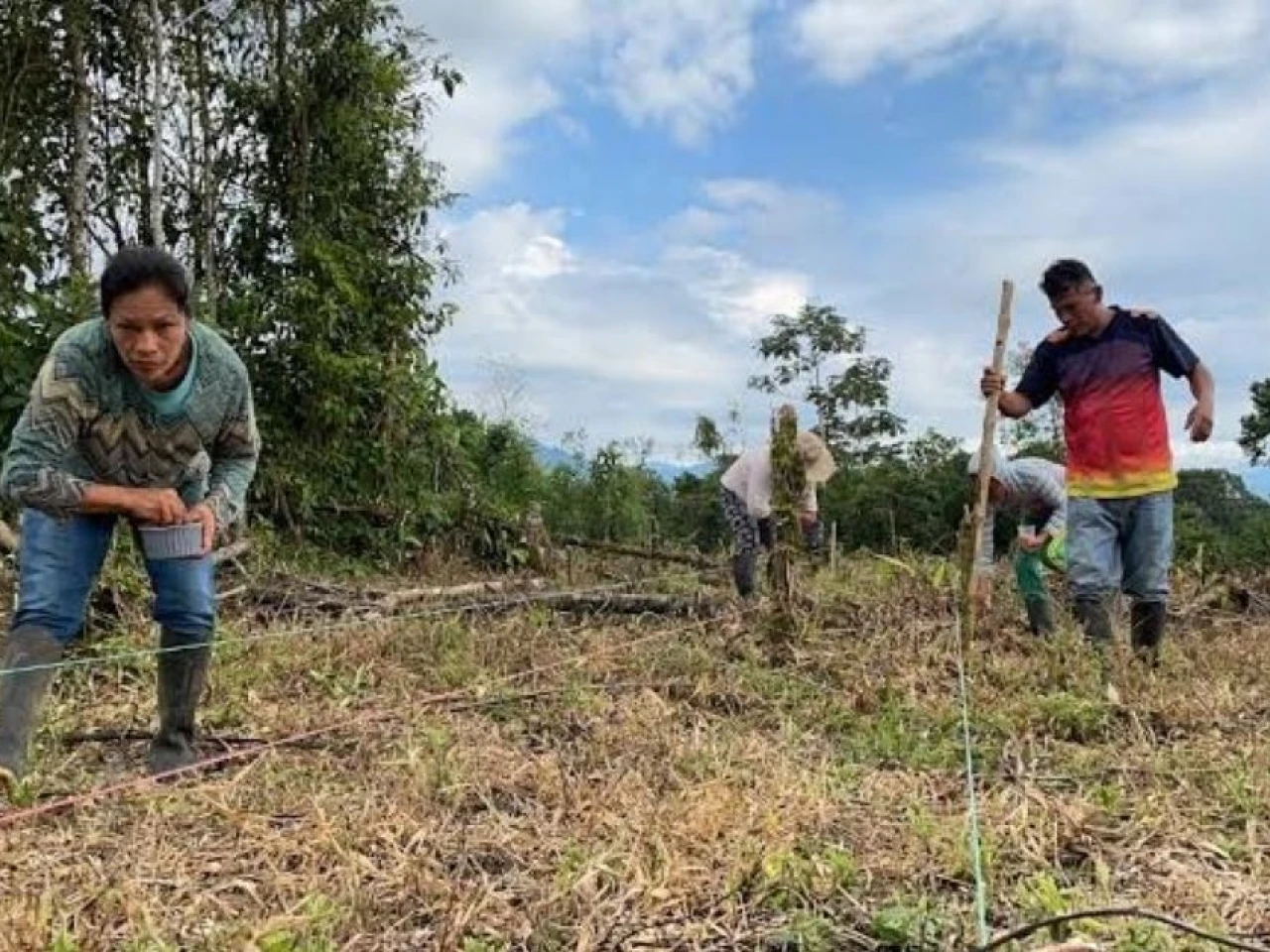 Las chakras amazónicas ganan reconocimiento como modelo agrícola sostenible