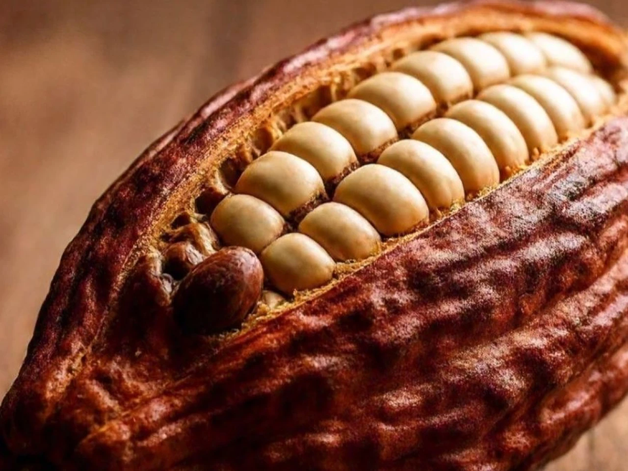 La tonelada de cacao alcanzó los $ 9.357 