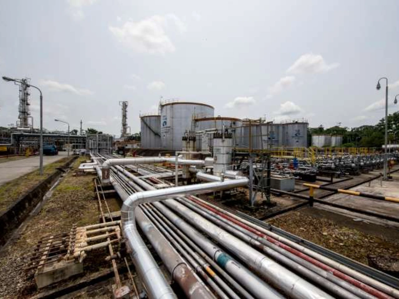 Petroamazonas generará más de 2.000 millones de renta petrolera adicional en 2018