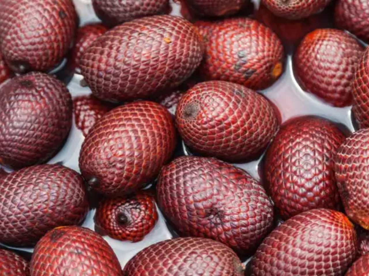 Ecuador exportó 10 toneladas de pulpa de morete a Perú 