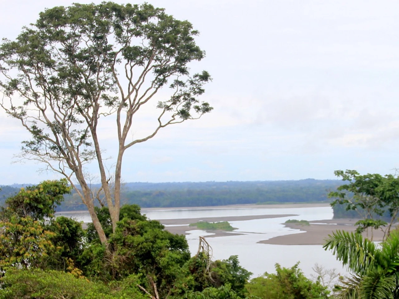 El Parque Nacional Yasuní cumple 44 años