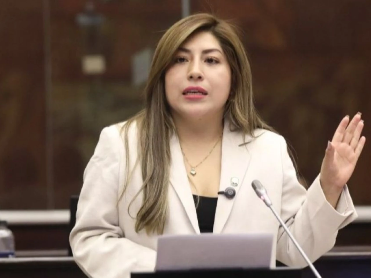 La Asamblea aprobó Sistema Nacional de Inteligencia