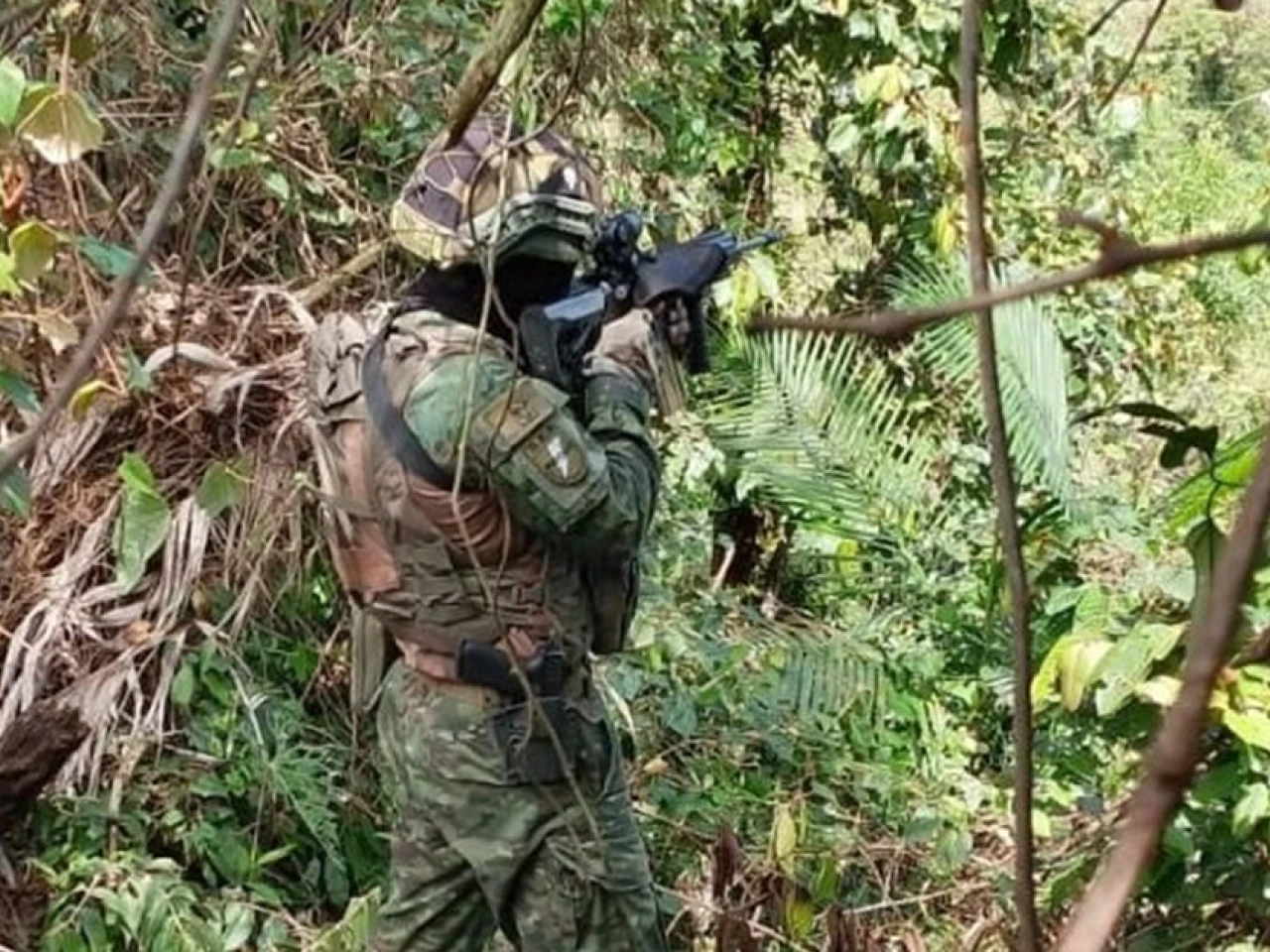 El Ejército destruyó 10.000 plantas de coca en Sucumbíos