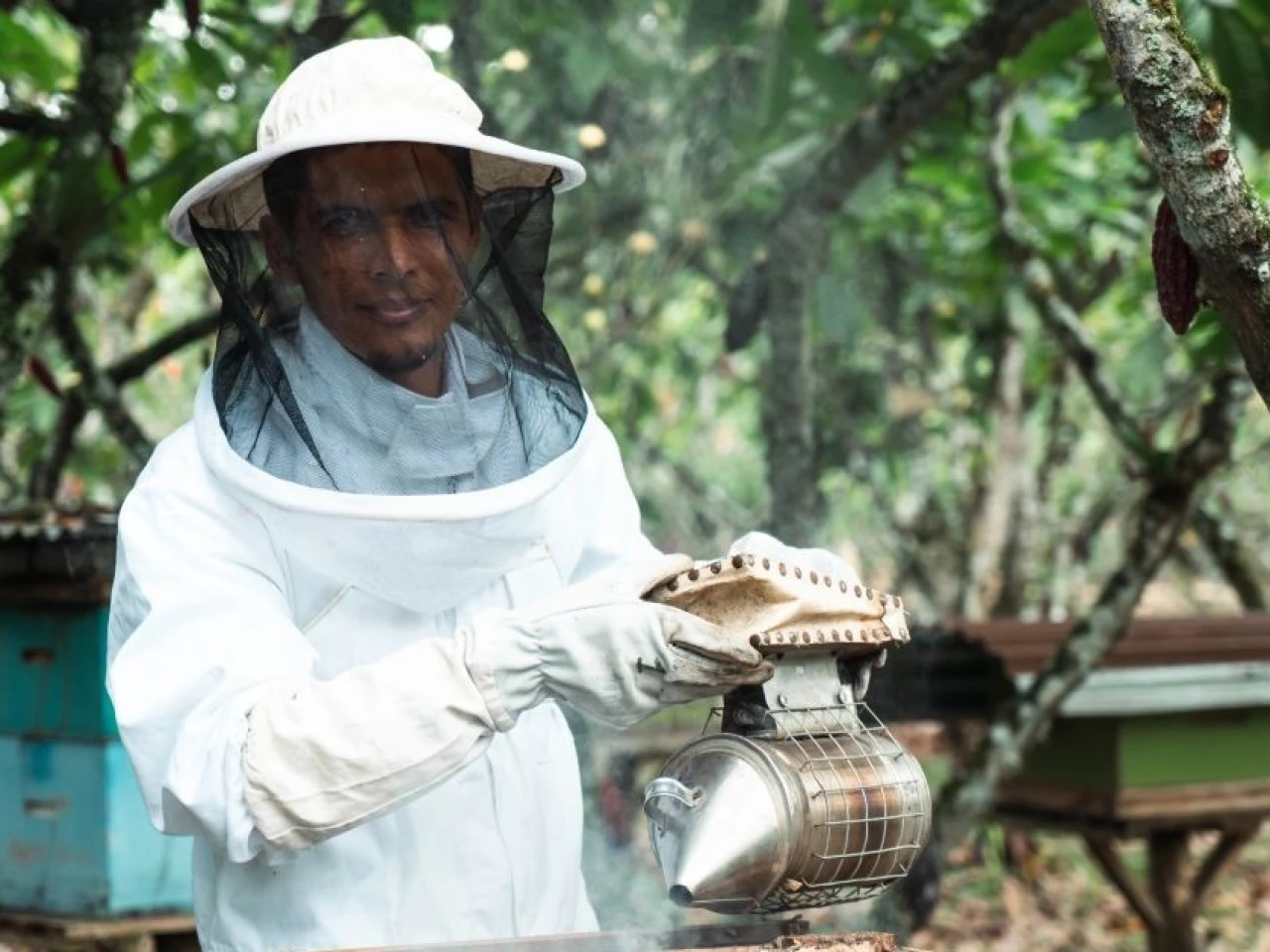 Plan Cacao: la apuesta de Nestlé Ecuador por un agro más sostenible y resiliente