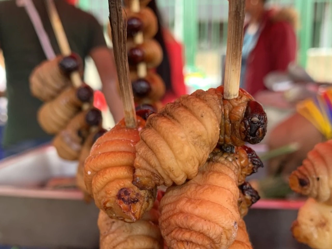 En la Amazonía ecuatoriana existen 3 recetas tradicionales para preparar el chontacuro