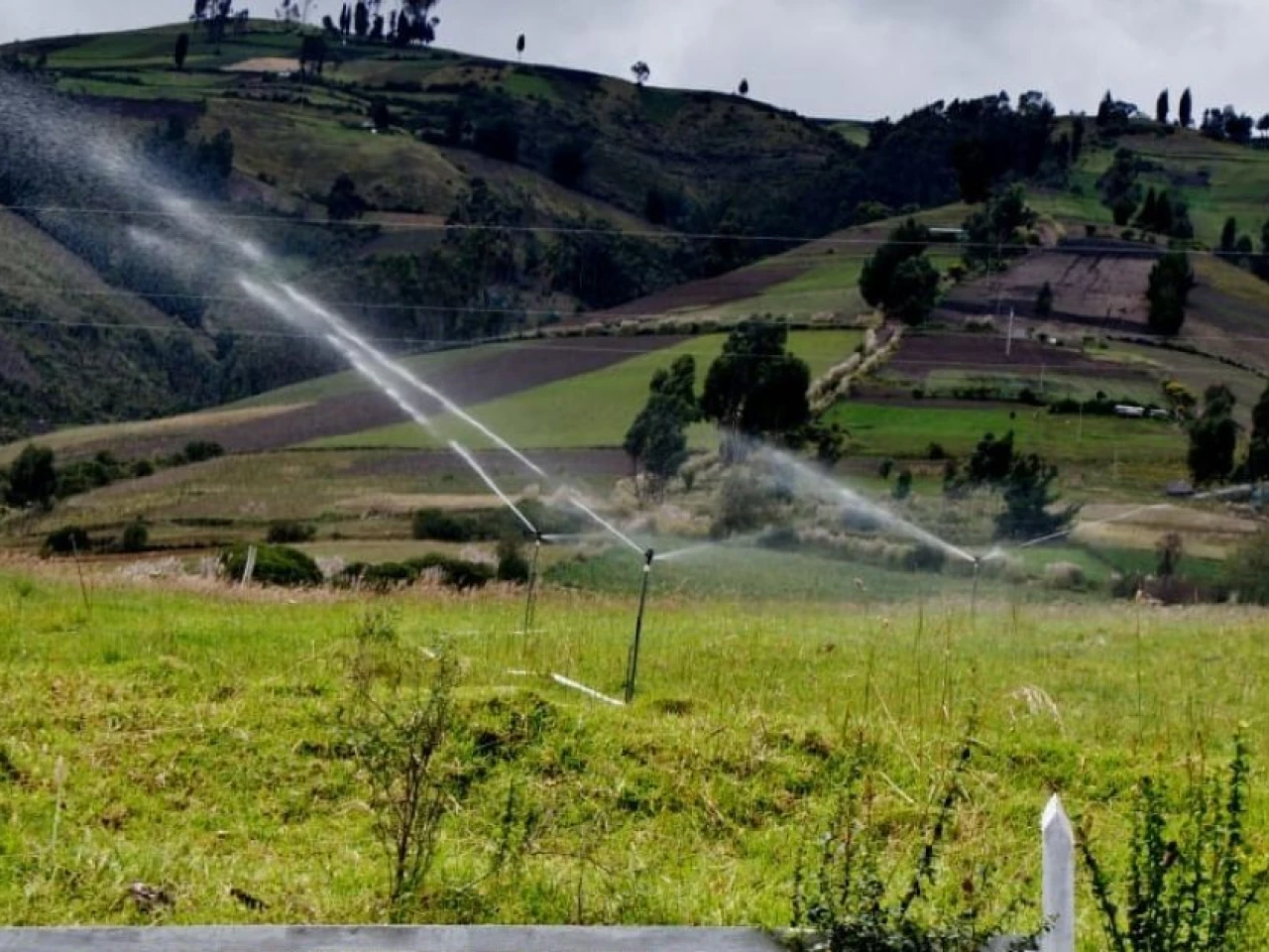 Gobierno inyecta USD 42,4 millones para riego y maquinaria agrícola