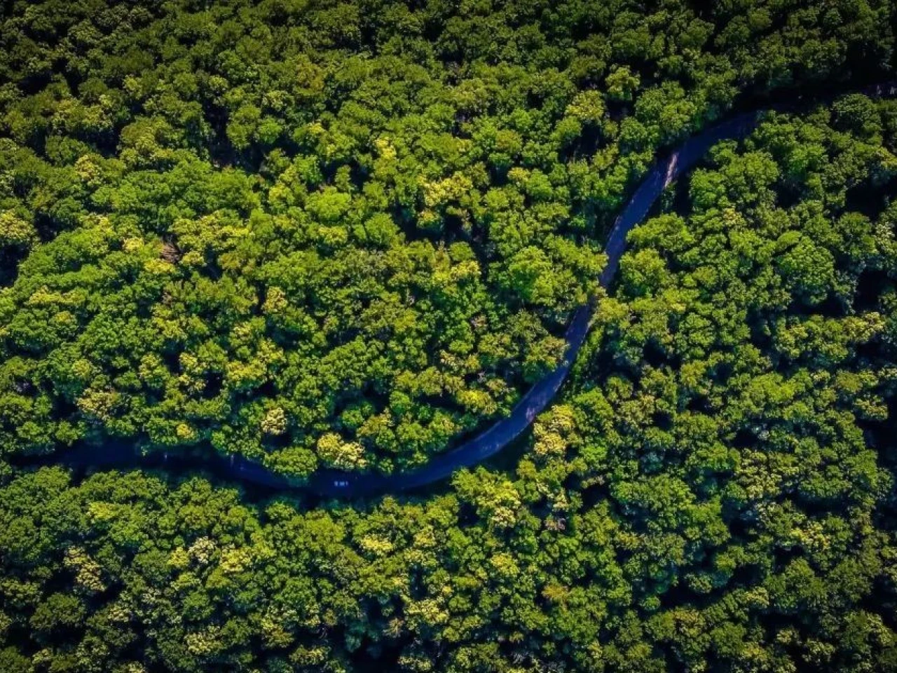 Colombia invertirá $ 170 millones para conectar la Amazonía con fibra óptica