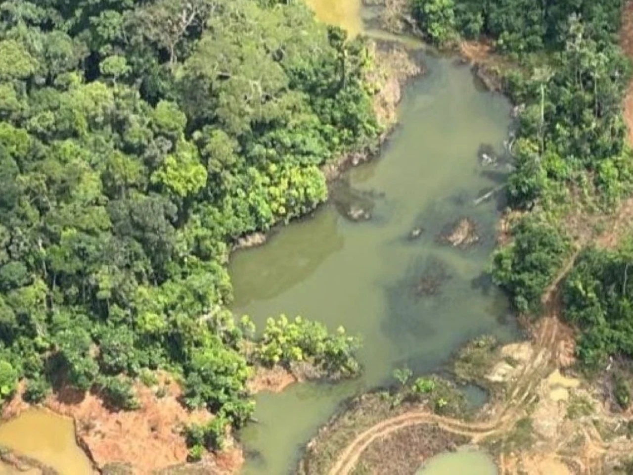 Minería ilegal y grupos armados intensifican la presión sobre áreas protegidas de la Amazonía ecuatoriana