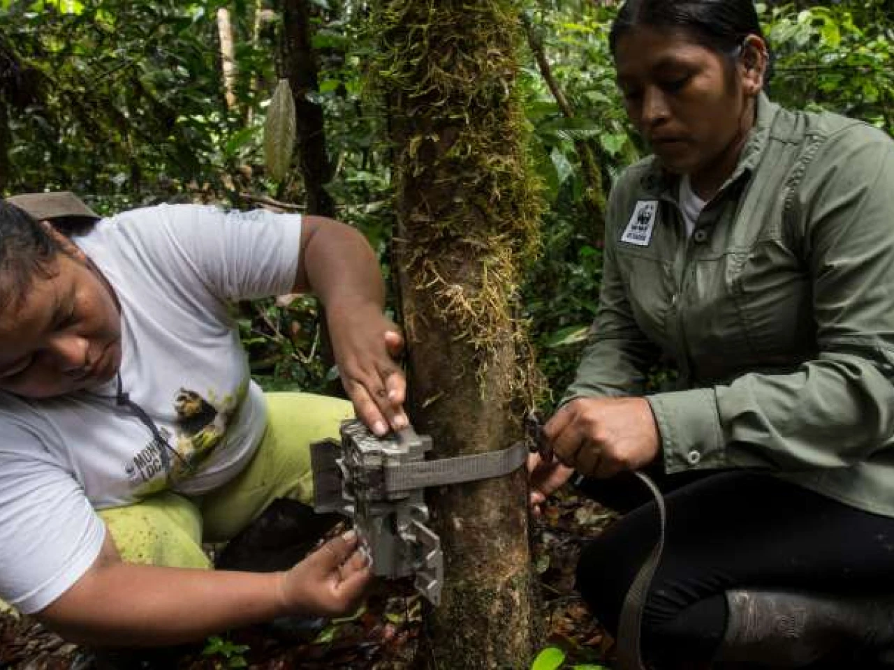 Mujeres kichwas del Cuyabeno monitorean la fauna silvestre