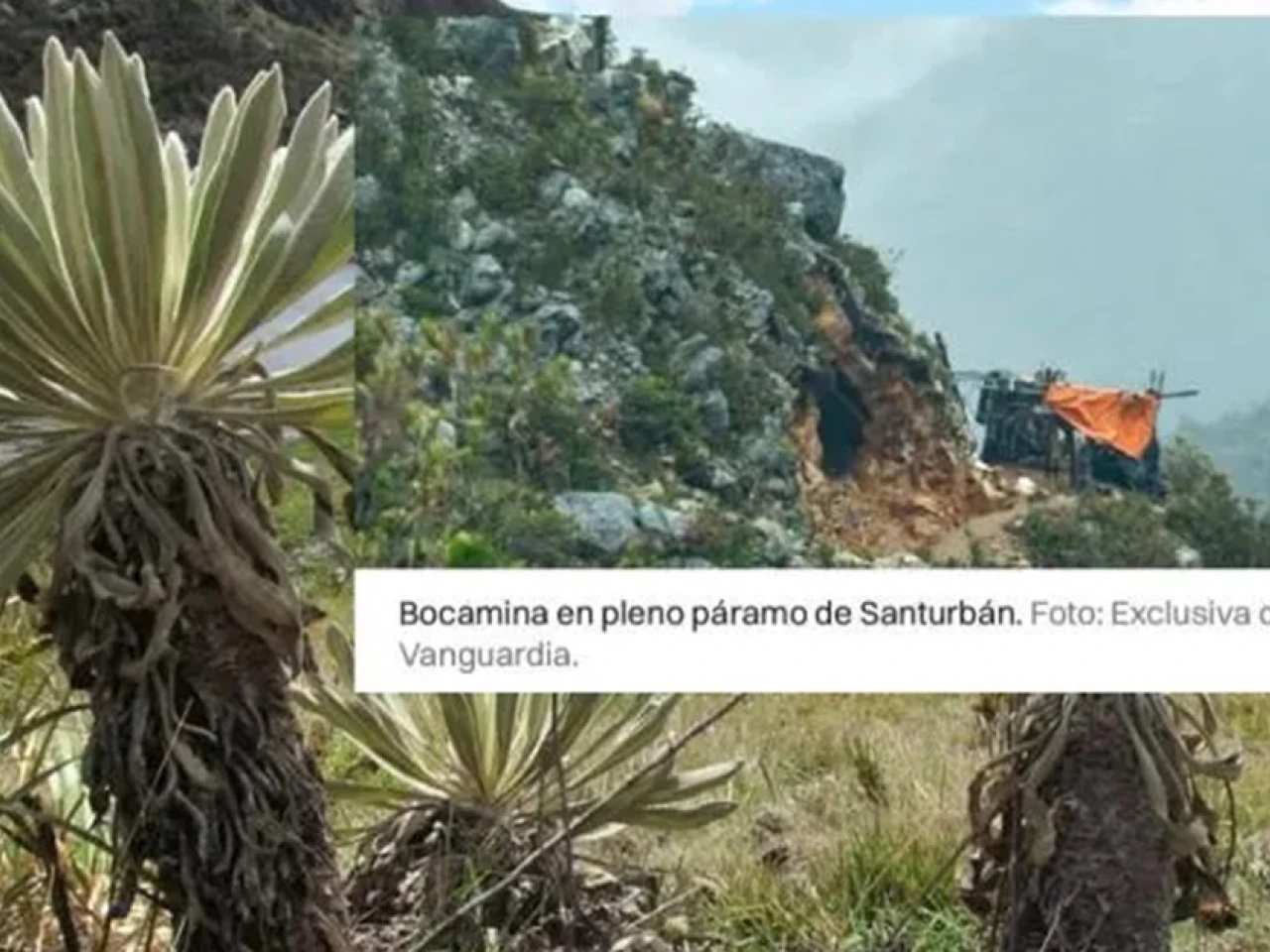 Gobierno de Petro sabía de contaminación y saqueo de oro por minería ilegal en Santurbán