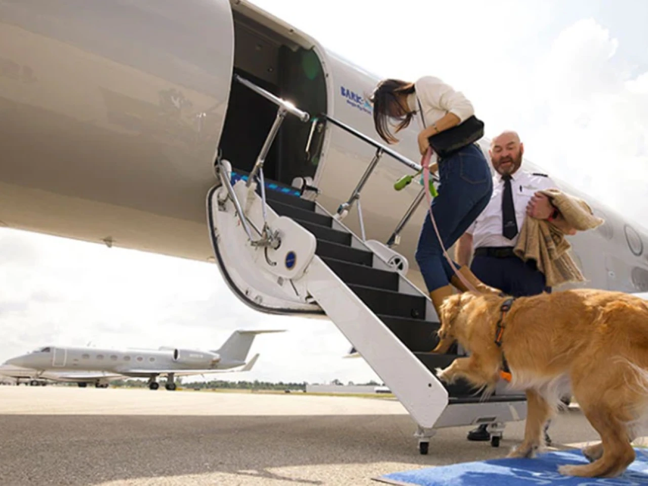 Bark Air, la primera aerolínea para perros, revoluciona los viajes
