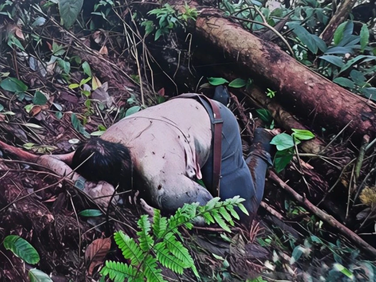 El Ejército halló los cuerpos de 2 miembros de los Comandos de la Frontera