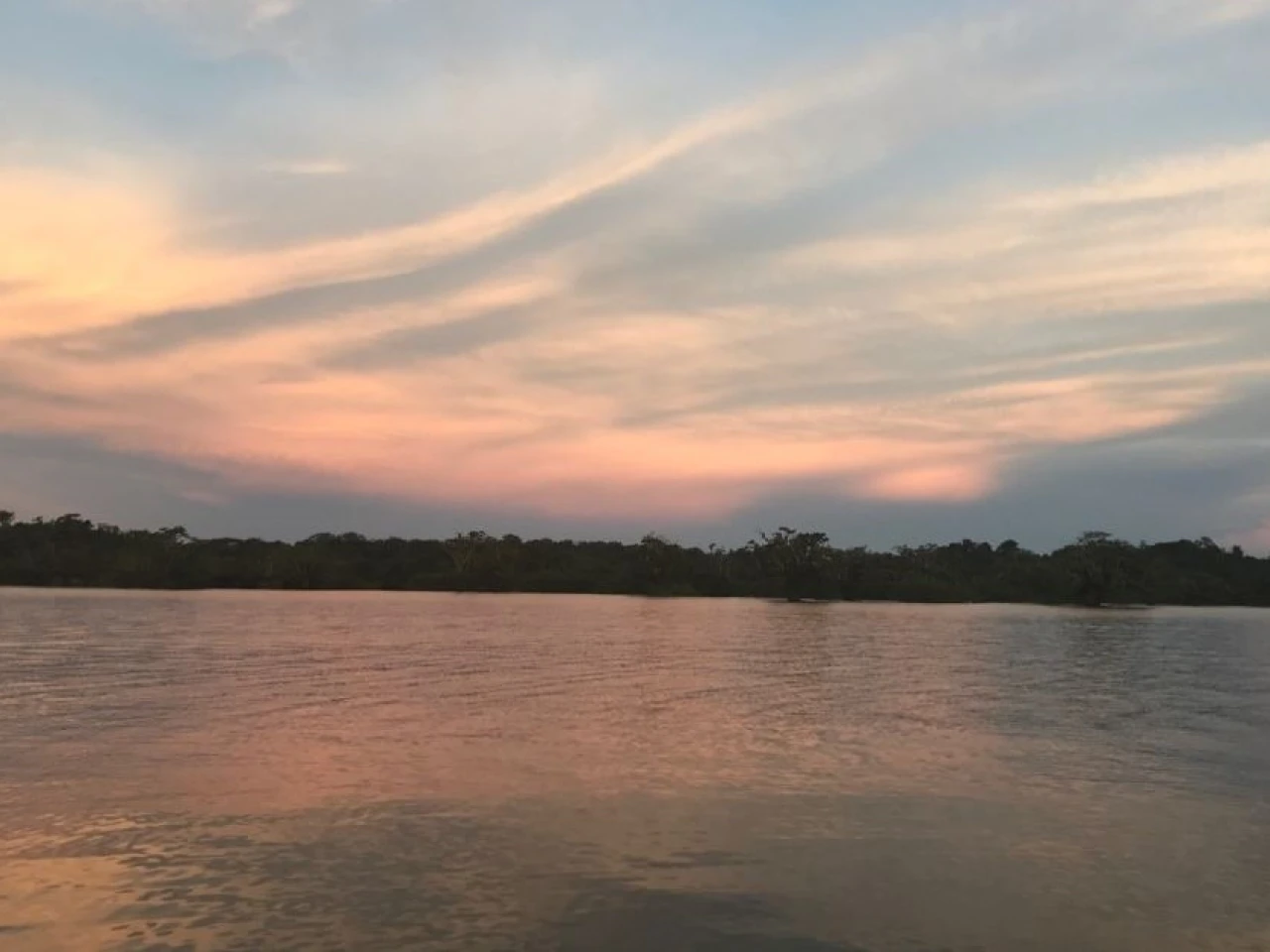 Ecuador conmemora el Día de la Amazonía 