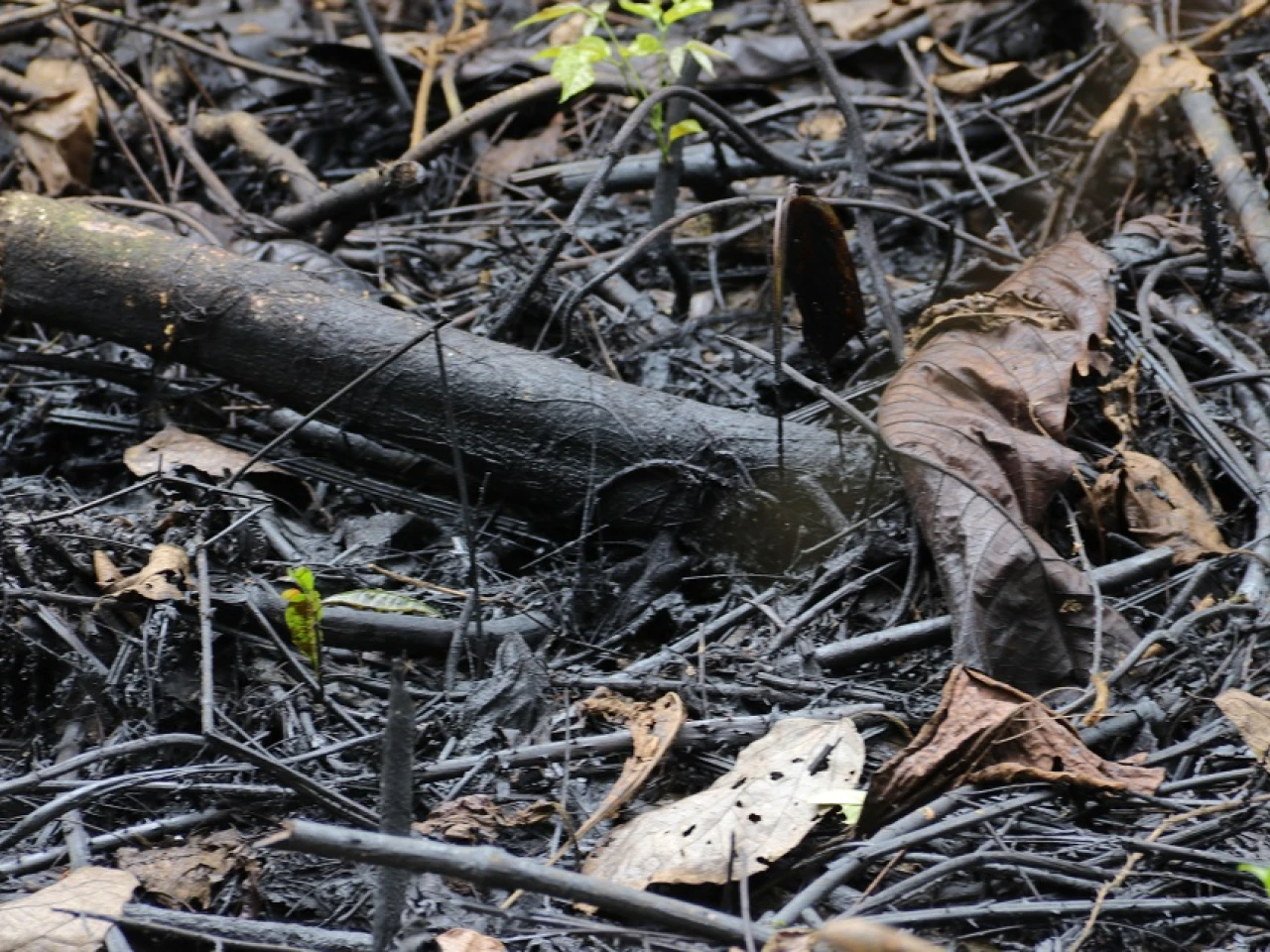 Petroecuador sumó un nuevo derrame a su récord
