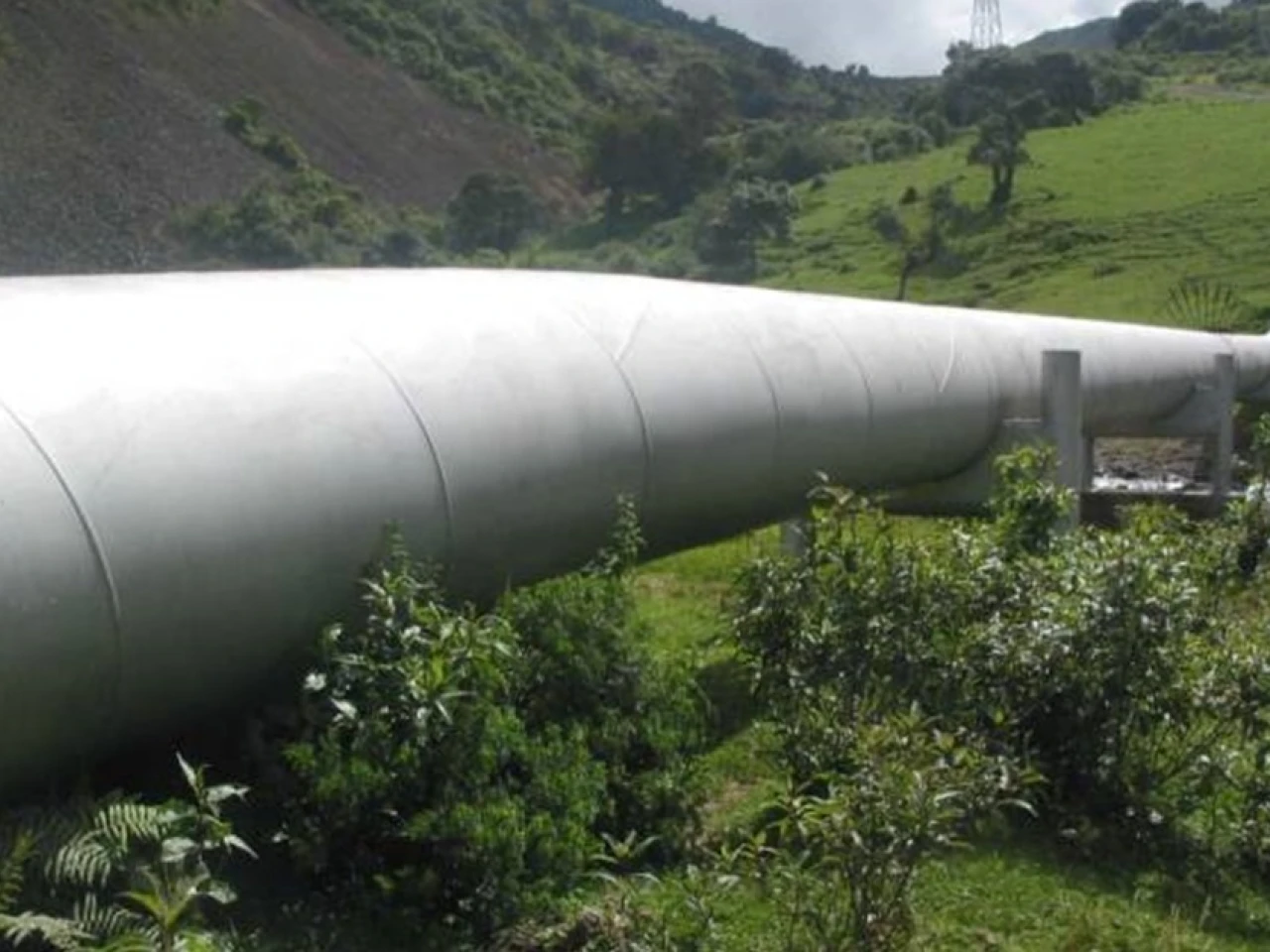 OCP suspendió sus operaciones