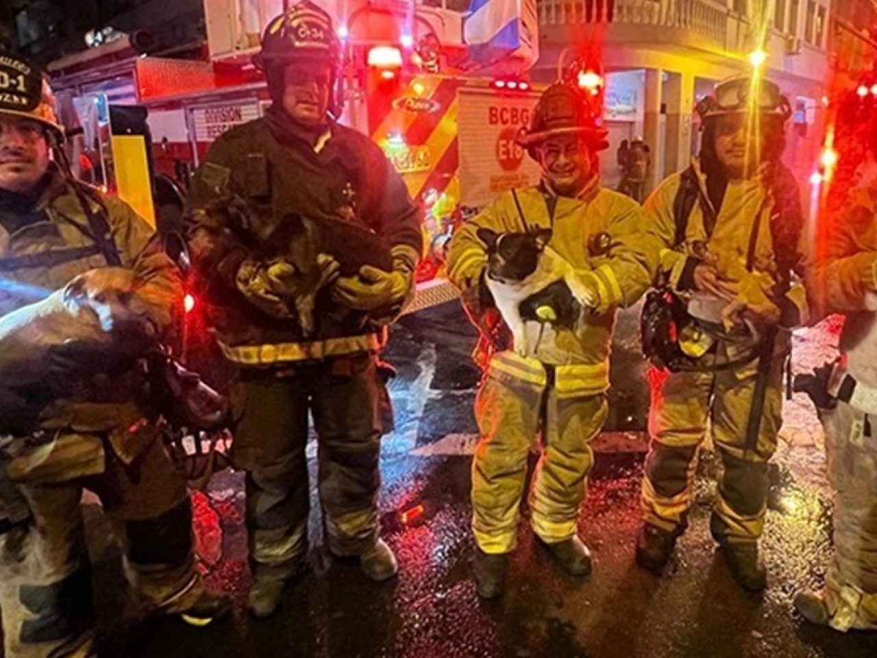 Bomberos rescataron a 5 perros en incendio en Guayaquil