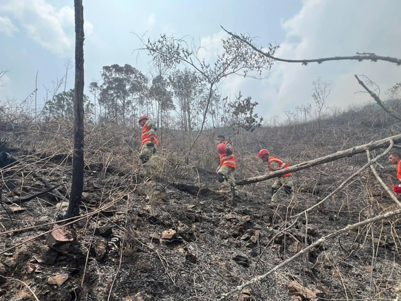 Incendios forestales en Perú dejan un fallecido y 16 intoxicados 