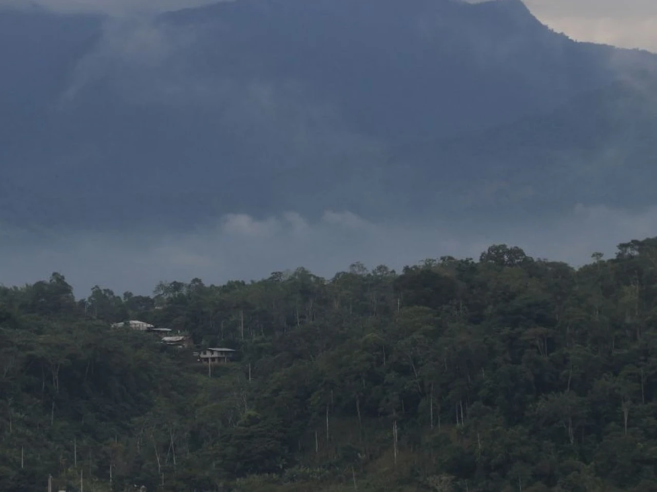 Ecuador perdió 33.000 hectáreas de bosque natural en 2025, según Global Forest Watch