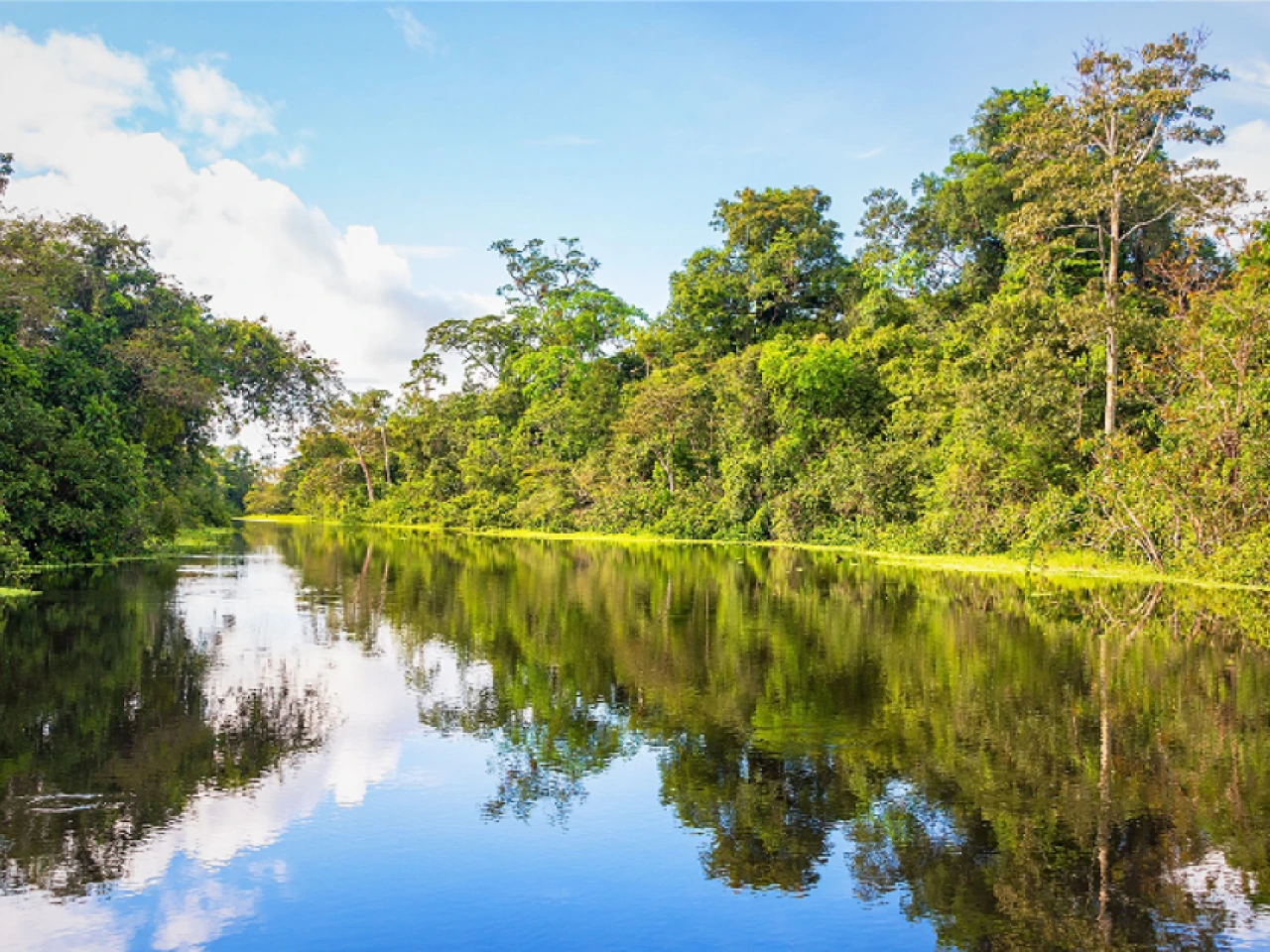 Ecuador reconoce el corredor ecológico Yasuní-Limoncocha-Cuyabeno en la Amazonía