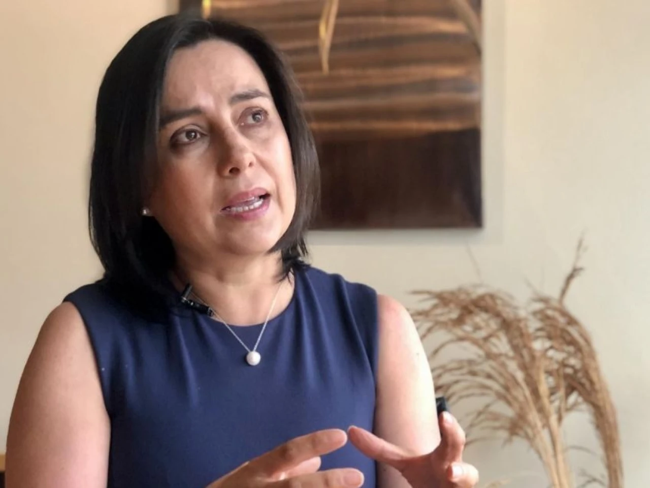 Gobierno acumula retrasos en la apertura del catastro minero