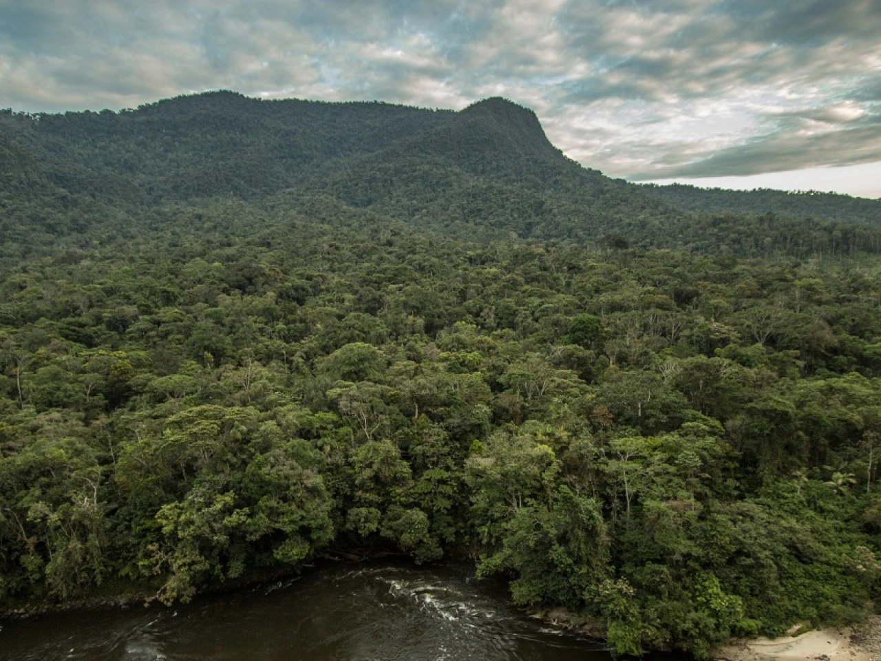 La reserva biológica Cerro Plateado es un paraíso para investigadores