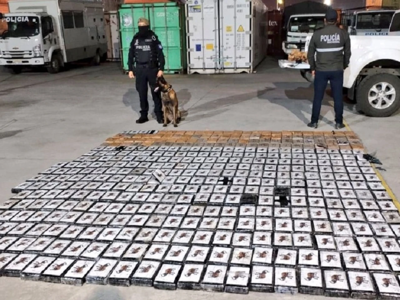 Más de 400 kilos de cocaína fueron incautados entre cajas de banano en Guayaquil