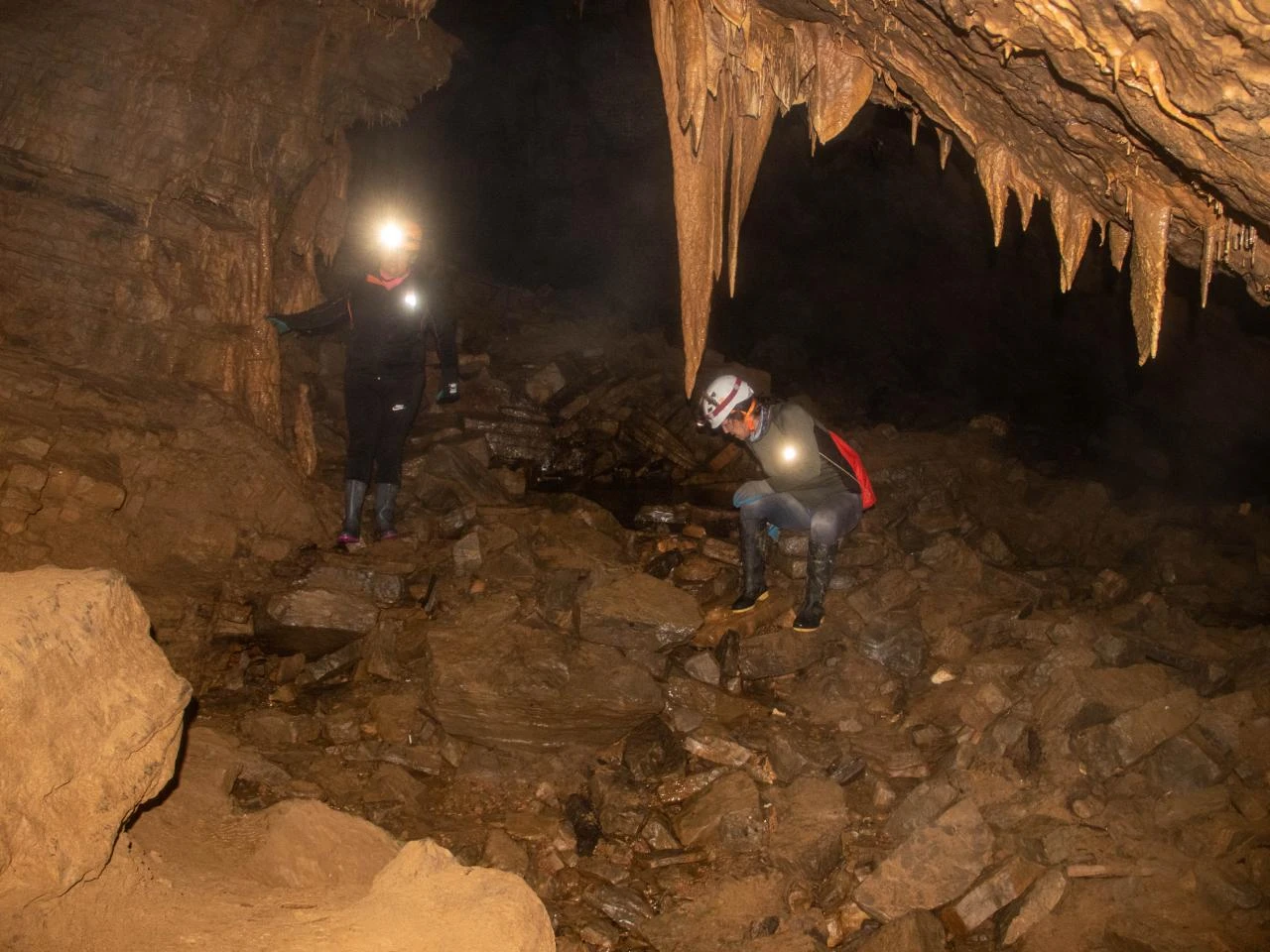 Galería de Imágenes: La Cueva de los Tayos