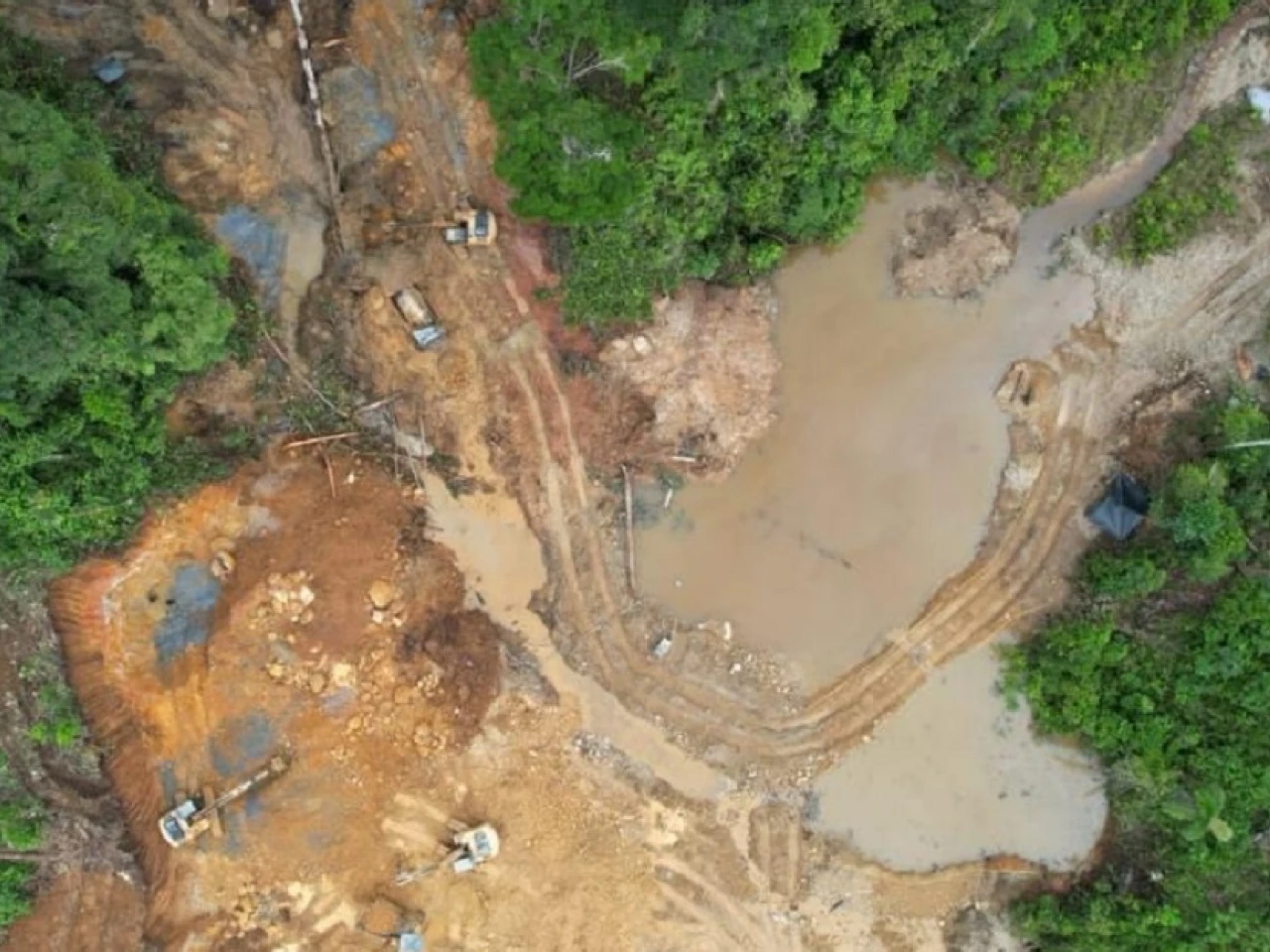 Comunidades de Napo piden al nuevo gobierno combatir la minería ilegal