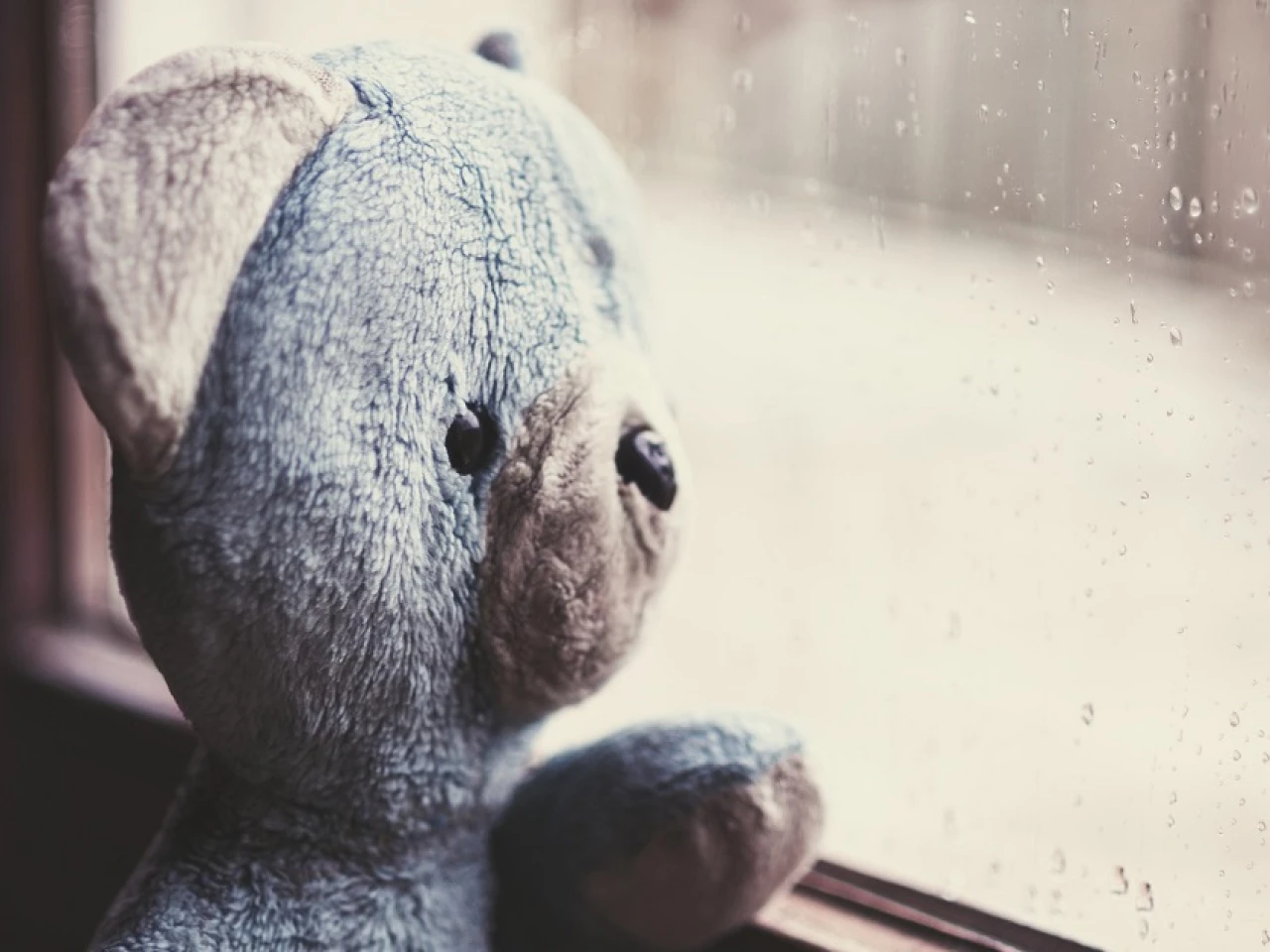 5 heridas de la infancia impactan en la vida adulta 