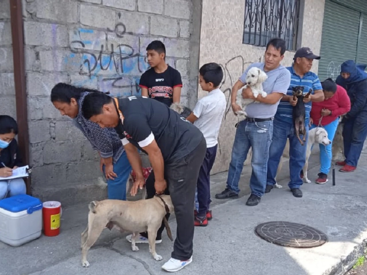 La campaña Ecuador-Perú de vacunación antirrábica canina y felina arrancó