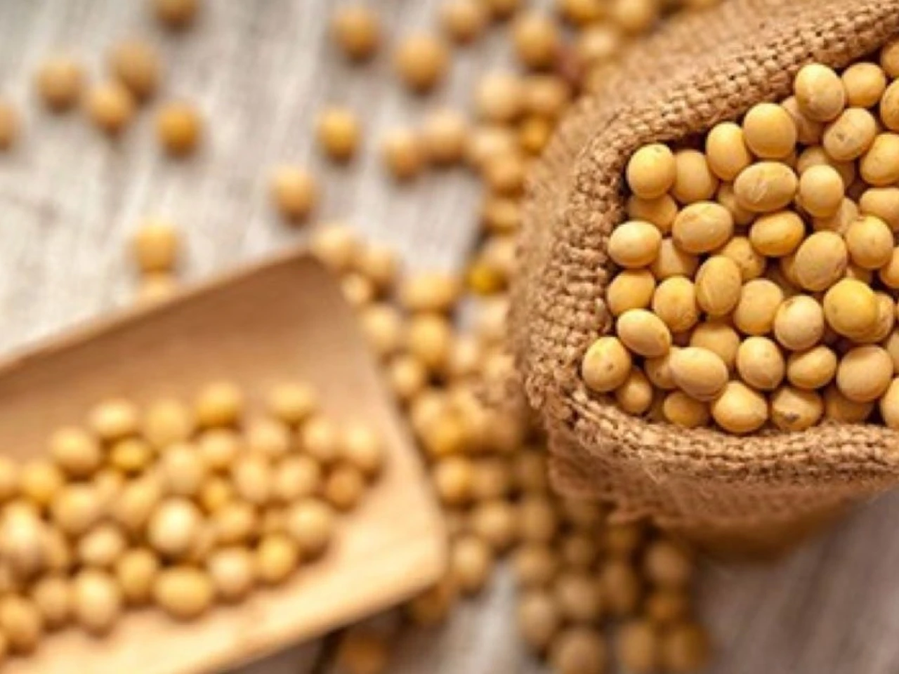 La soya sostenible de EE.UU. es impulsada en Ecuador
