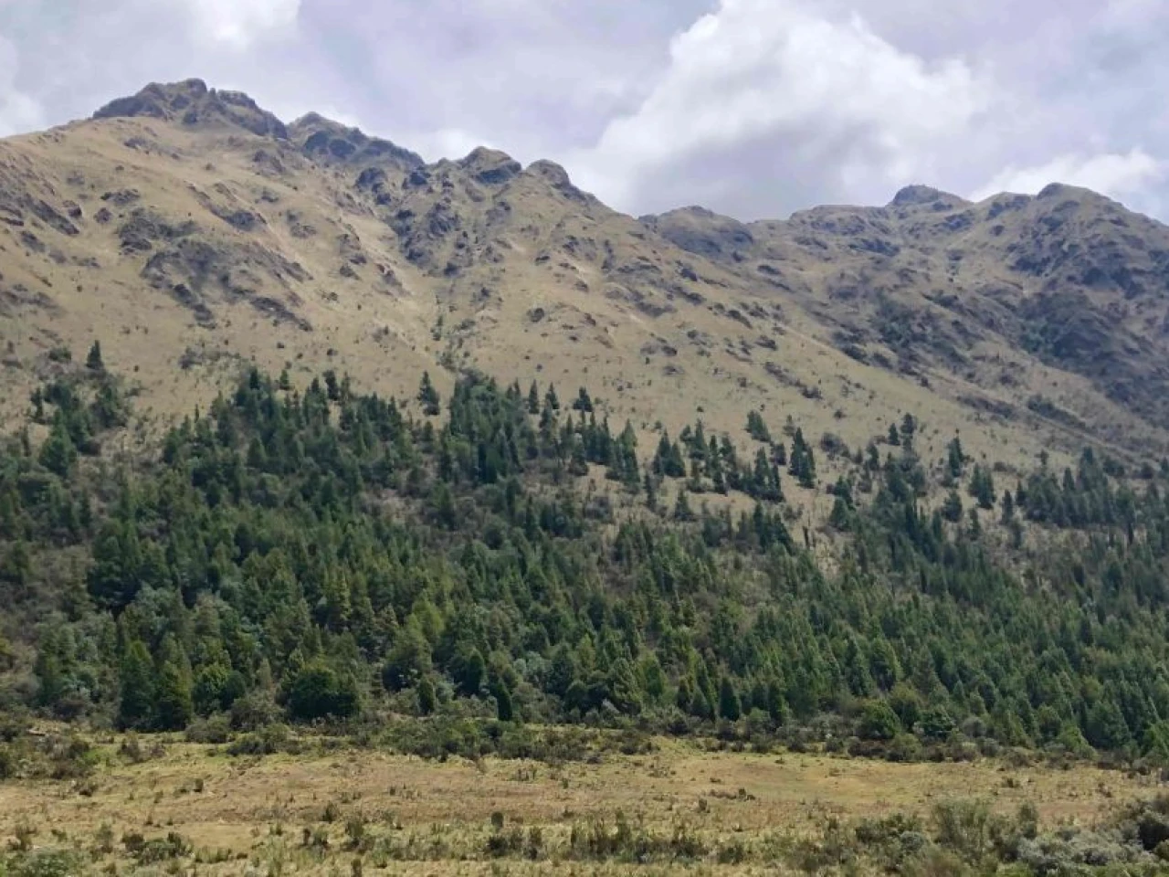 Organizaciones internacionales pidieron a DPM el cierre de Loma Larga