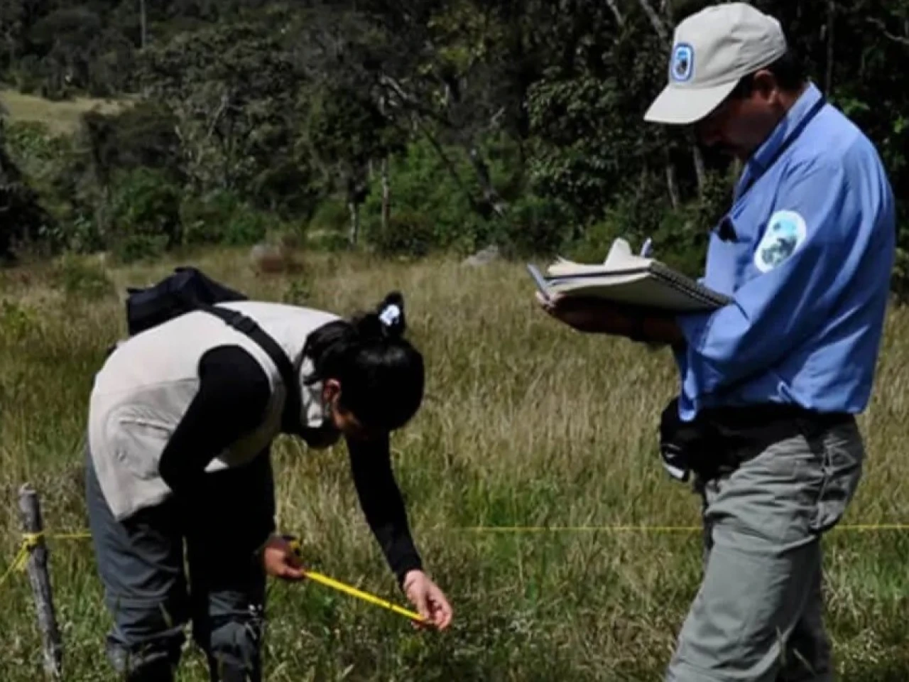 Colombia: La guerra en la Amazonía recrudece 