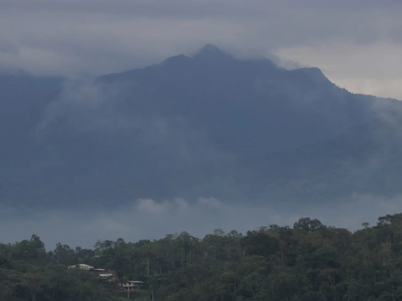 La deforestación en Morona Santiago se dispara 