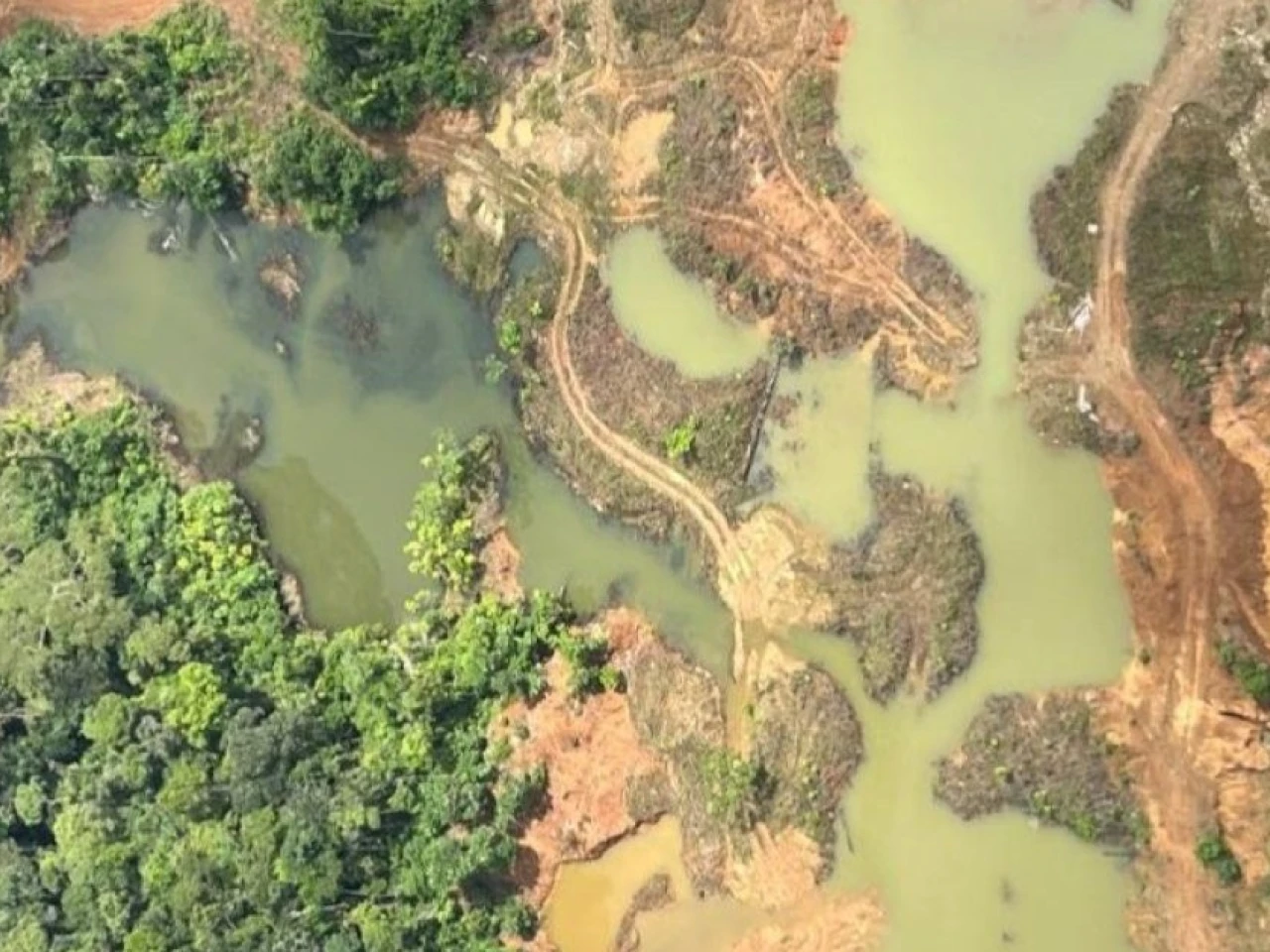 Operativo militar expone impactos de la minería ilegal en Sucumbíos 