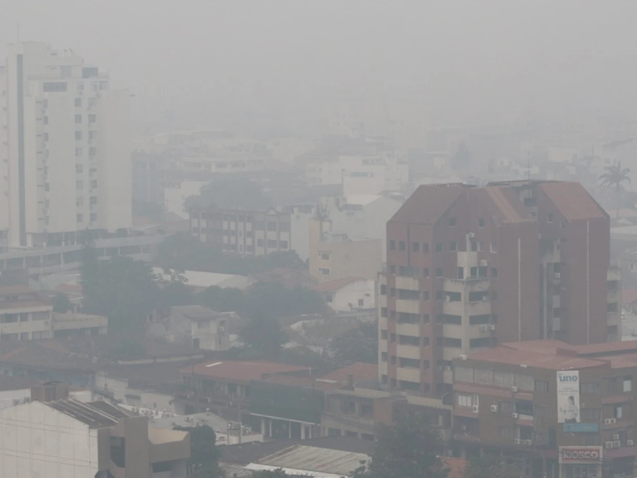 América registró incendios forestales muy intensos en 2024
