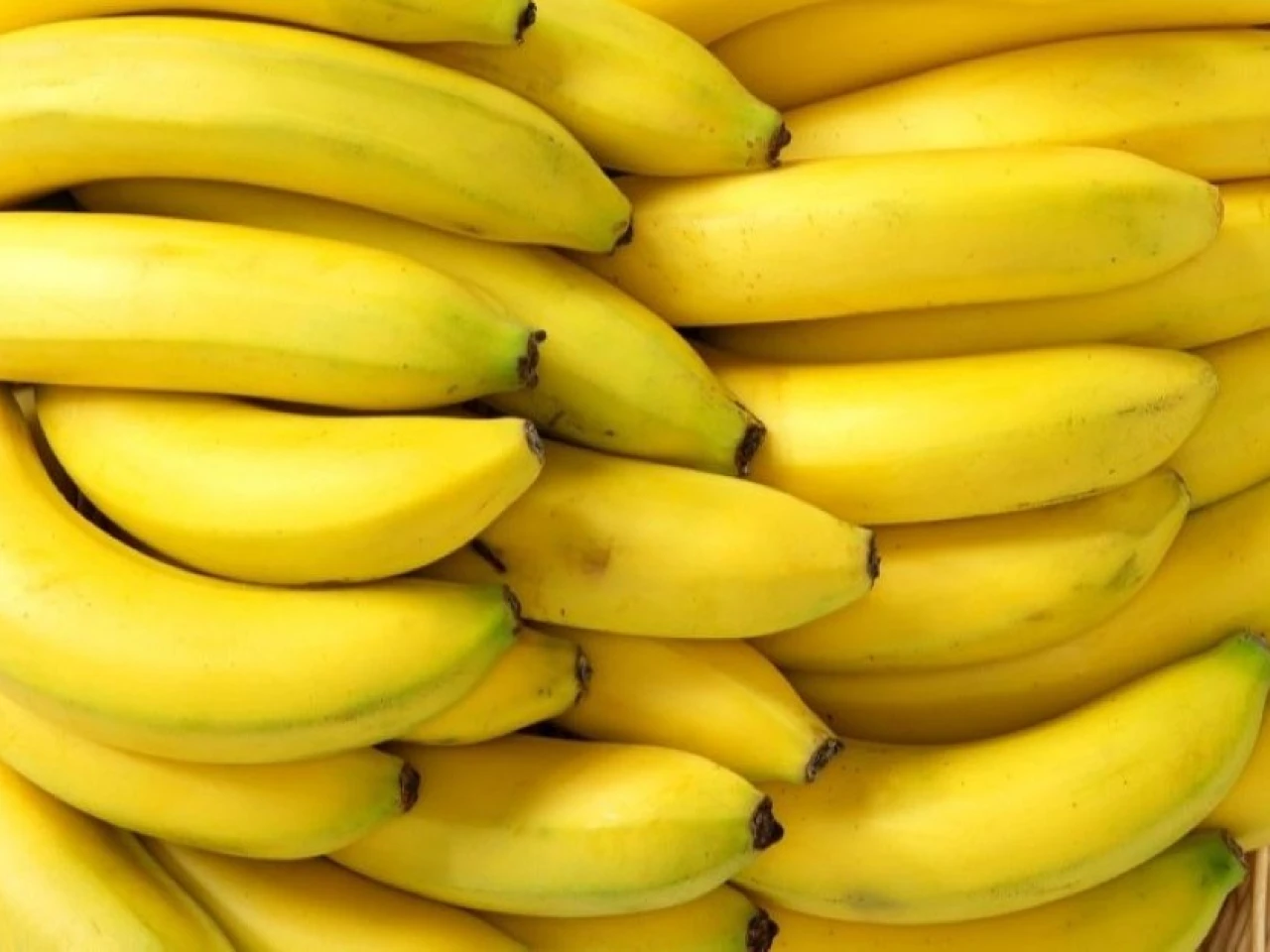 Acuerdo con Corea del Sur impulsará exportaciones bananeras de Ecuador