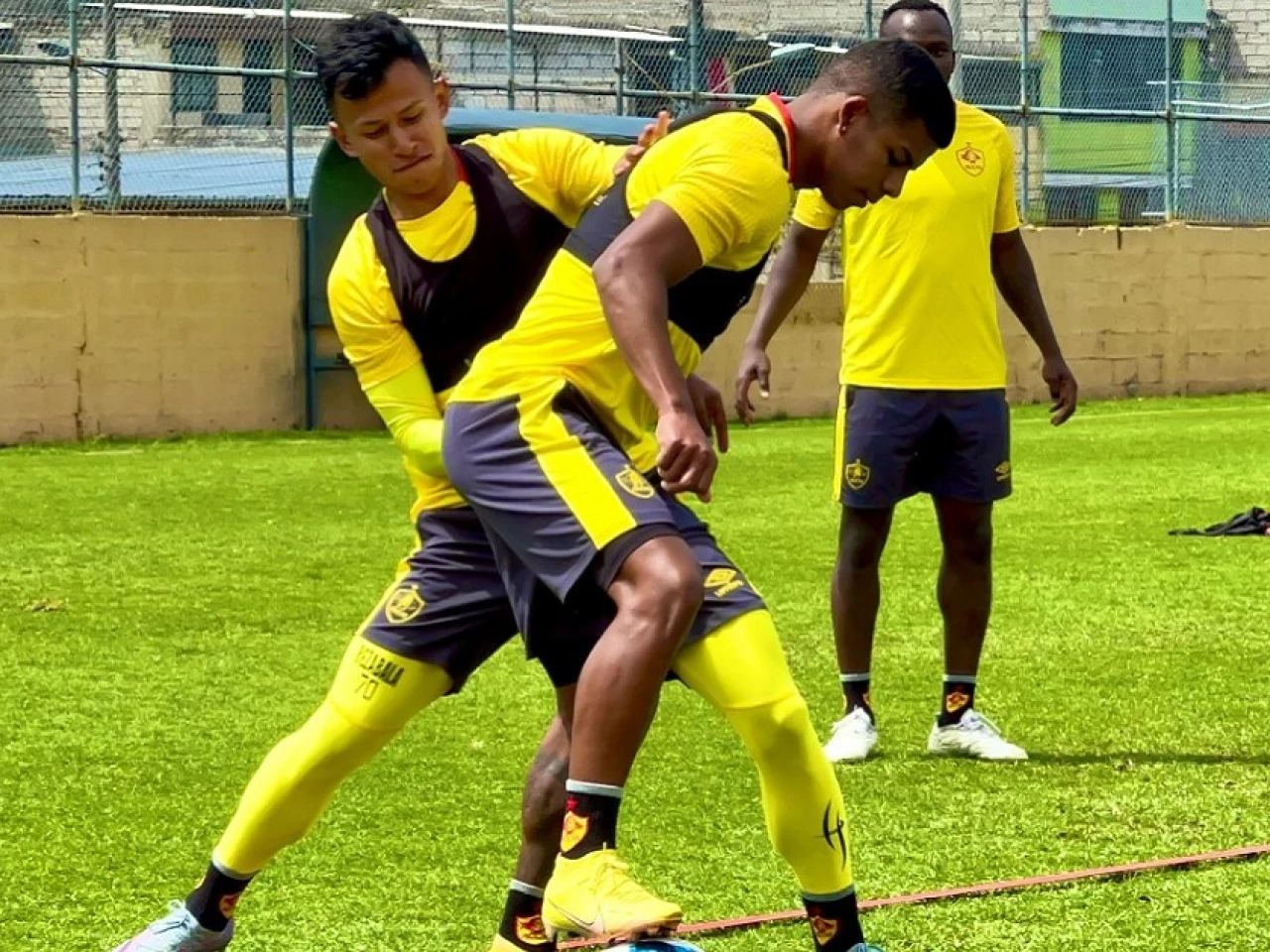 Independiente, Barcelona y Aucas en nuevo asalto por el liderato