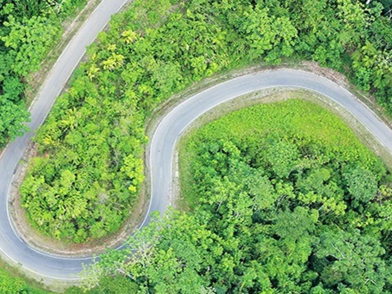 Perú: Carretera de 213 kilómetros unirá Amazonas y Loreto 