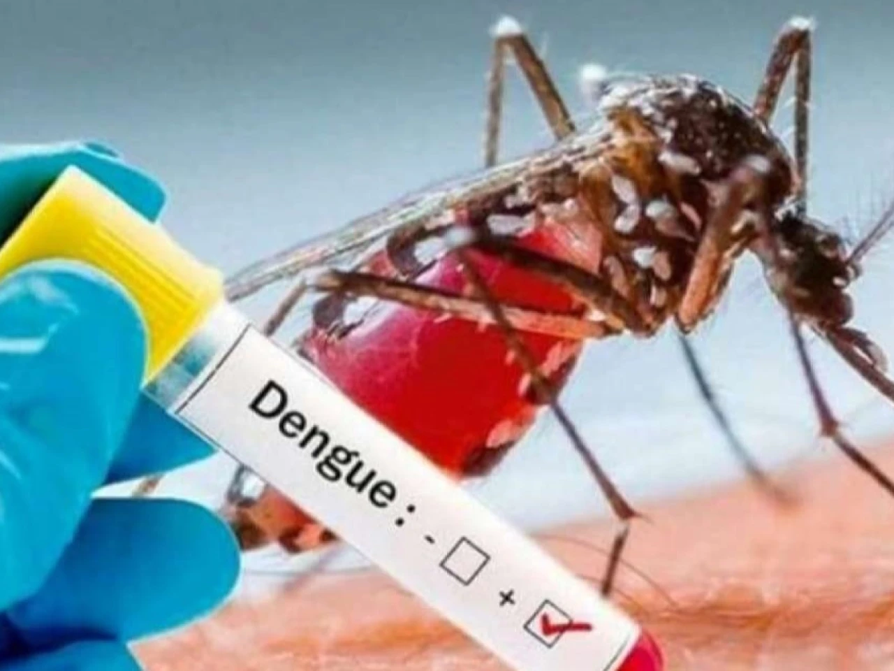 El dengue y la leptospirosis se disparan en Ecuador